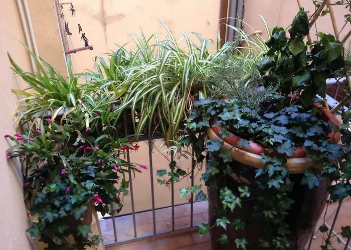 Oasis In The Heart Of